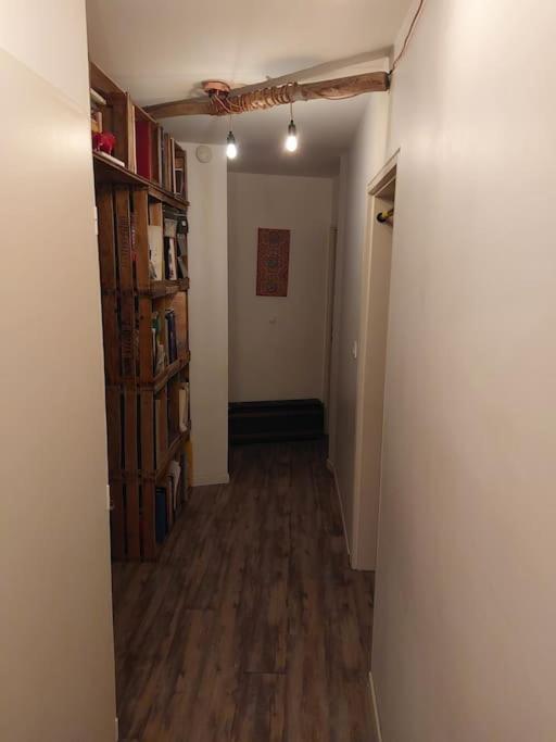 Le Cosy-Chic - T3 Balneo A Villeurbanne / Lyon Екстер'єр фото